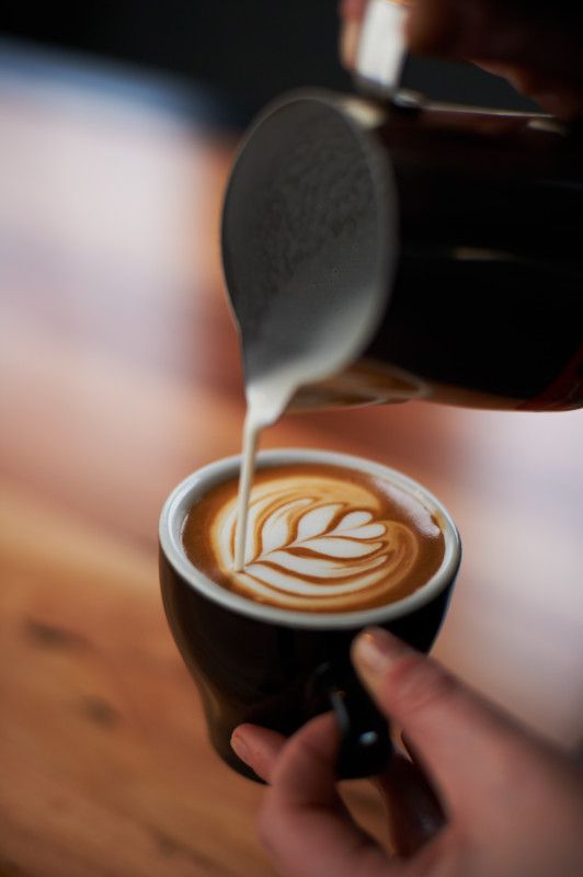 ca danh sua inox chuyen nghiep dung cho cappuccino, latte art 4